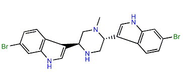 Dragmacidon A